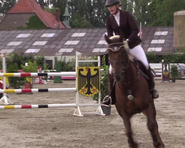 Reitturnier Bissendorf - Gut Stockum 2016