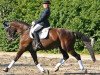 dressage horse Geizers (Latvian Warmblood, 1996, from Gaplans T 57)