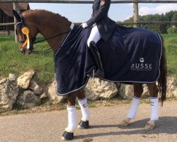 dressage horse Bijou 403 (Hanoverian, 2007, from Belissimo NRW)