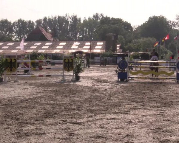 Reitturnier Bissendorf - Gut Stockum 2016