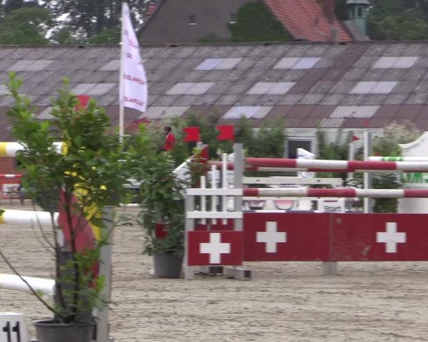 Reitturnier Bissendorf - Gut Stockum 2016