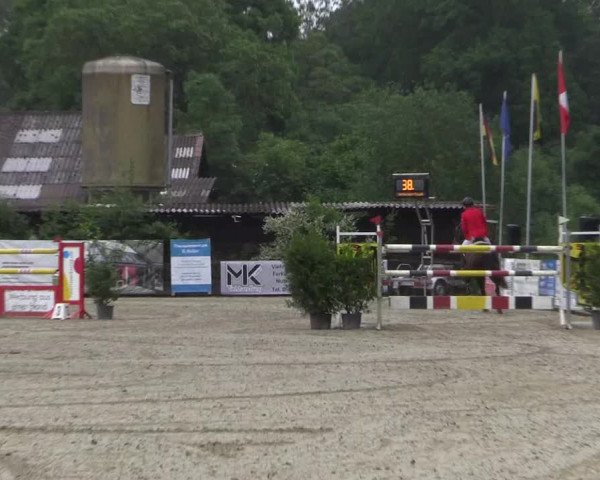 Reitturnier Bissendorf - Gut Stockum 2016