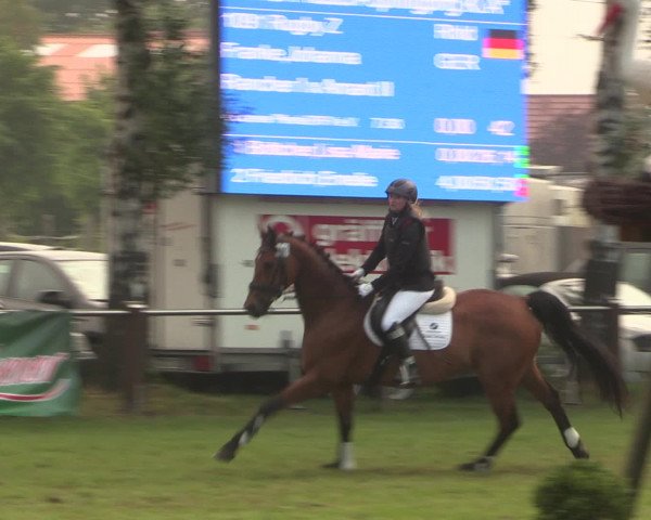 Reitturnier Hille 2016