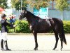 broodmare Distelschatz (Trakehner, 2011, from Axis TSF)