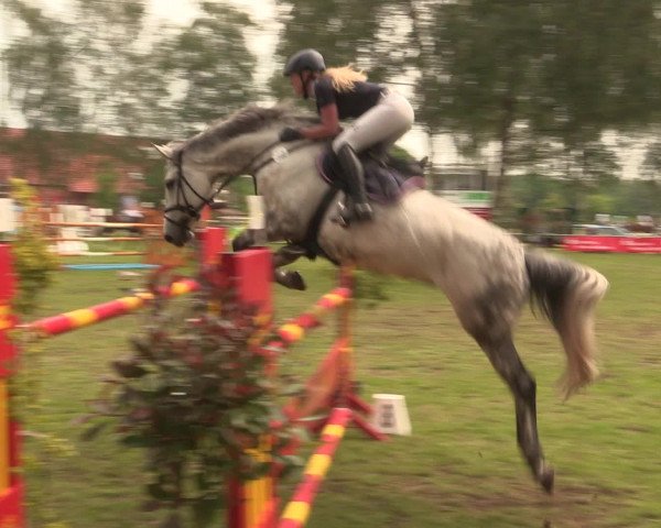 Reitturnier Hille 2016