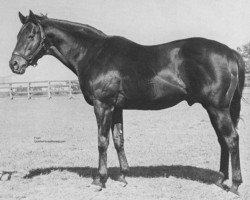 Deckhengst War Admiral xx (Englisches Vollblut, 1934, von Man o' War xx)