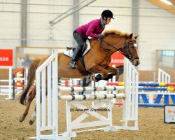 dressage horse Mamas Liebling (German Riding Pony, 2005, from Markgraf)