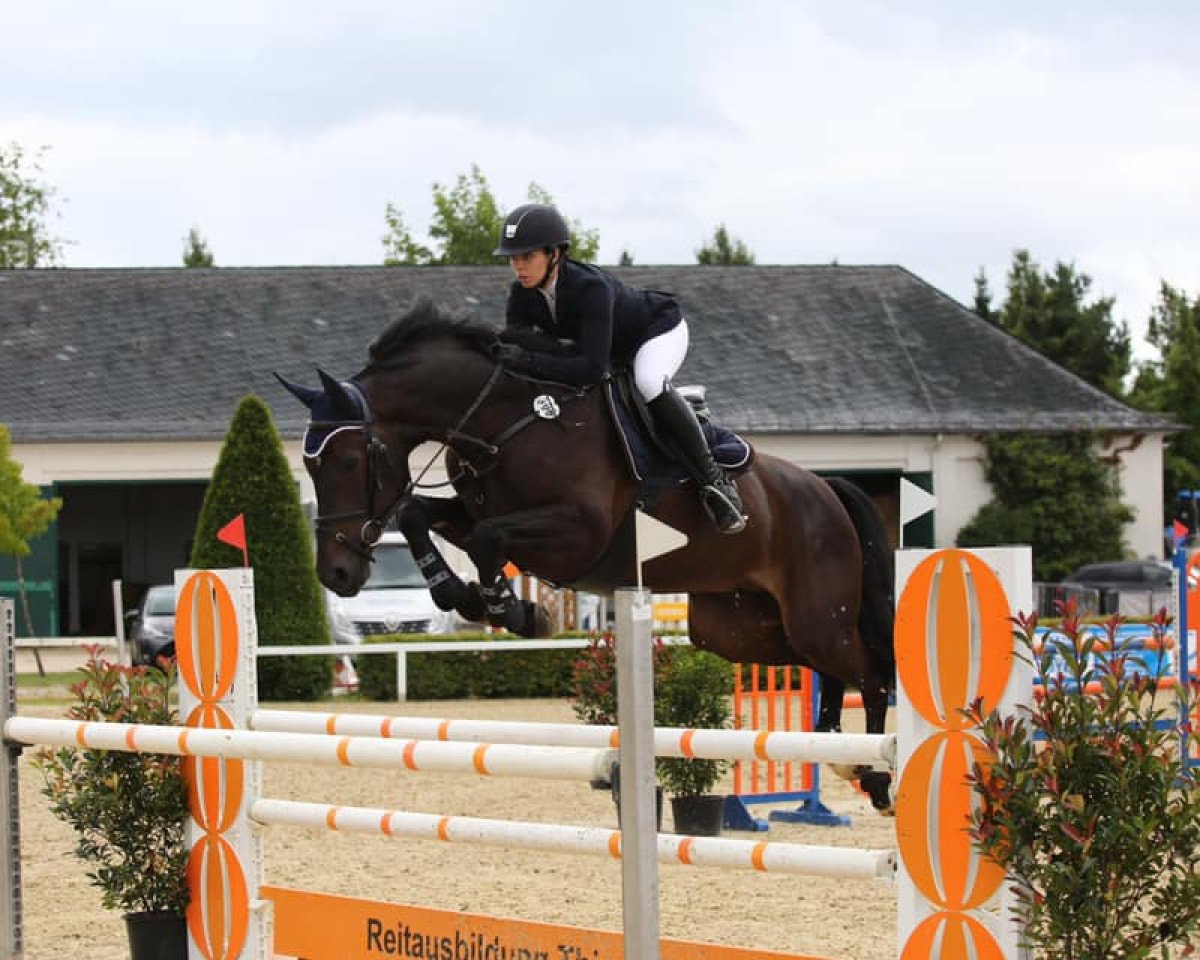 Springpferd Johnnie Walker 30 (KWPN (Niederländisches Warmblut), 2014, von Kannan)