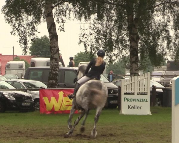 Reitturnier Hille 2016