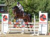 dressage horse Cabara (Westphalian, 2012, from Conte Ferrari)