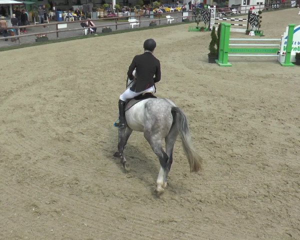 Reitturnier Kirchhellen/Stall Dieckmann 2016