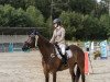 jumper Classic Lucy (Irish Sport Horse, 2013, from Pikatchu xx)