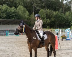 jumper Classic Lucy (Irish Sport Horse, 2013, from Pikatchu xx)