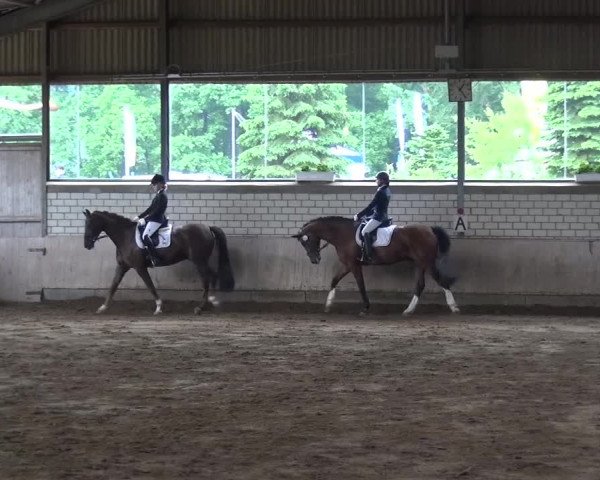 Reitturnier Sprockhövel, Auf der Gethe 2016