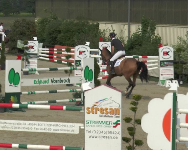 Reitturnier Kirchhellen/Stall Dieckmann 2016