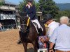 dressage horse Hennessy Mon Ami (Trakehner, 2010, from Sixtus)