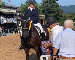 dressage horse Hennessy Mon Ami (Trakehner, 2010, from Sixtus)