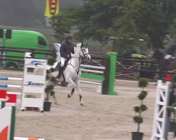 Reitturnier Kirchhellen/Stall Dieckmann 2016