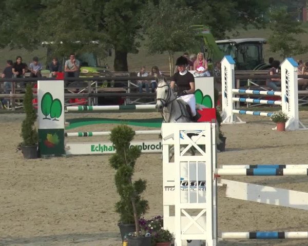 Reitturnier Kirchhellen/Stall Dieckmann 2016