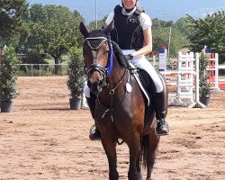 Pferd Flying Power Girl (Belgisches Warmblut, 2014)