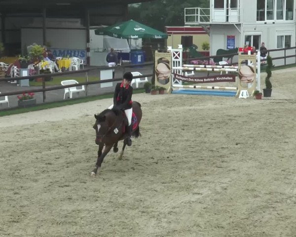 Reitturnier Kirchhellen/Stall Dieckmann 2016