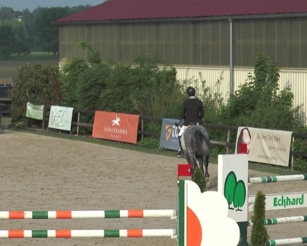 Reitturnier Kirchhellen/Stall Dieckmann 2016