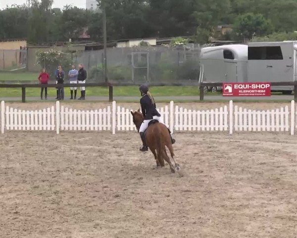 Reitturnier Kleinostheim 2016