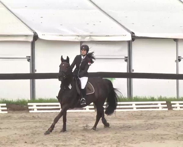 Reitturnier Kleinostheim 2016
