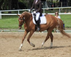 dressage horse Blossom 10 (Little German Riding Horse, 2008, from Baccarat)