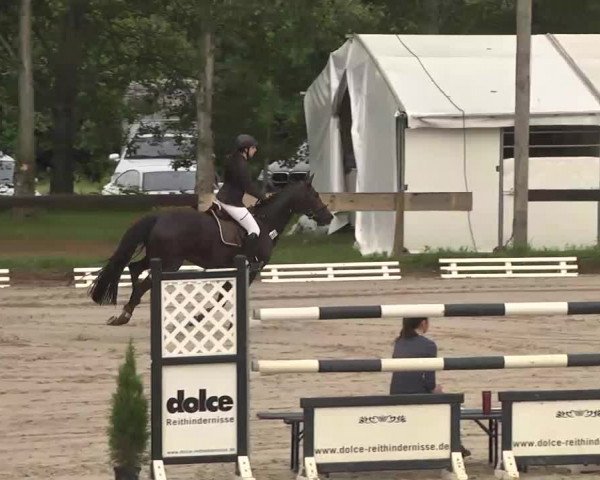 Reitturnier Kleinostheim 2016