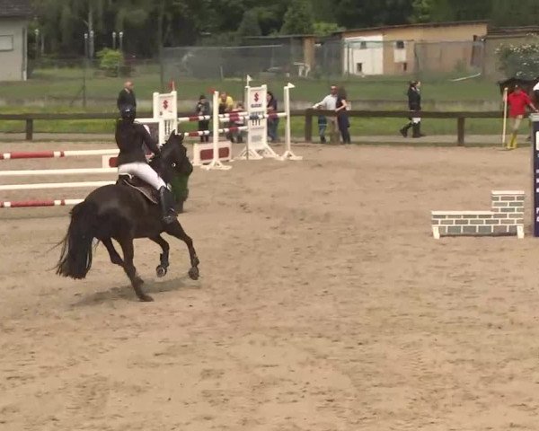 Reitturnier Kleinostheim 2016