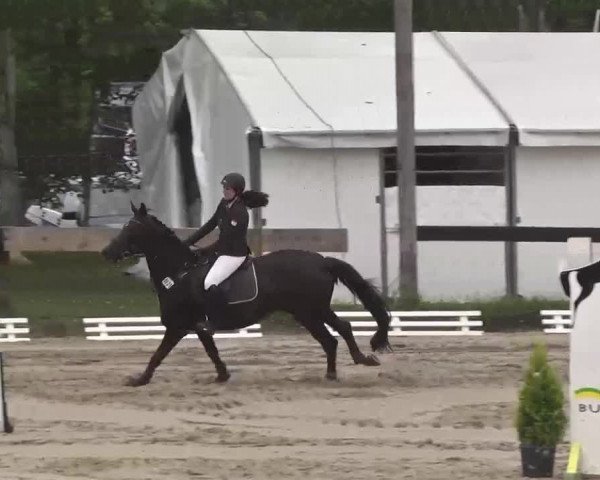 Reitturnier Kleinostheim 2016
