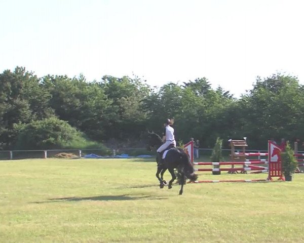 Reitturnier Medelby 2016