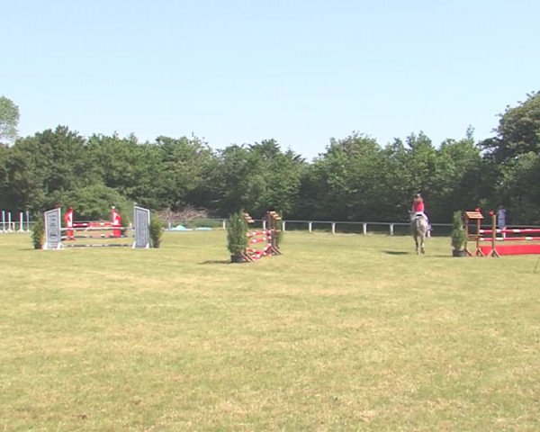 Reitturnier Medelby 2016