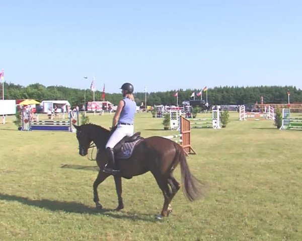 Reitturnier Medelby 2016