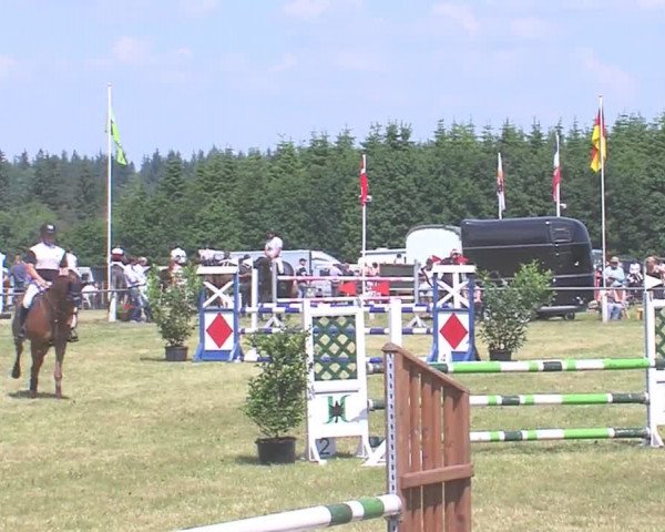 Reitturnier Medelby 2016