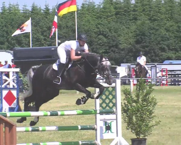 Reitturnier Medelby 2016