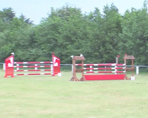 Reitturnier Medelby 2016