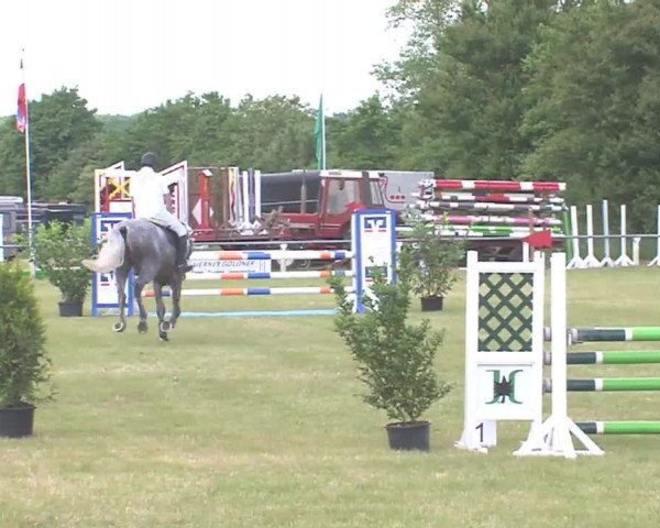 Reitturnier Medelby 2016
