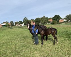 broodmare An de Montuna (Mecklenburg, 1999, from Alexo)