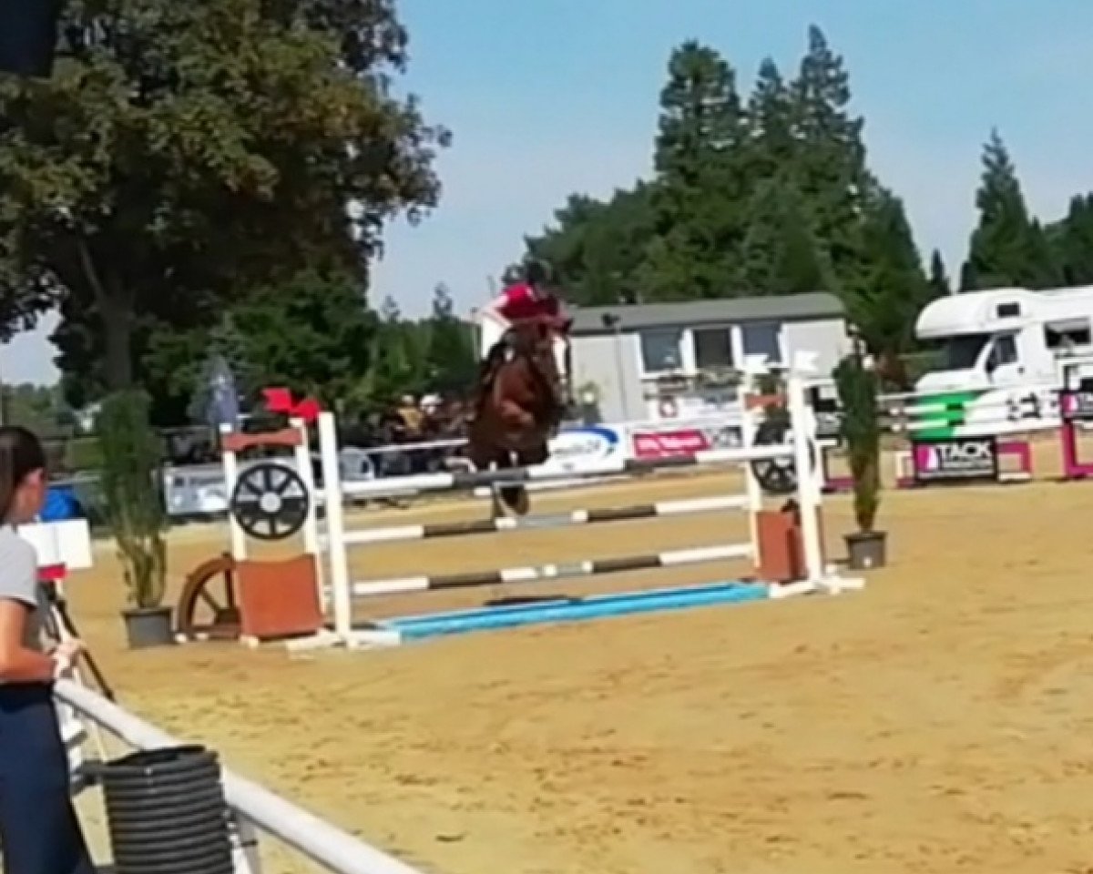 jumper Sanny (unknown, 2006)