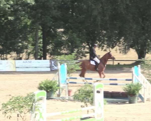 Reitturnier Erkrath - Uhlenhof 2016