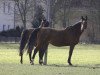 broodmare Wajana L (Bavarian, 1998, from Rangun)