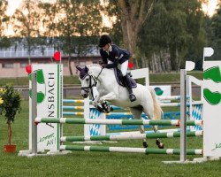 broodmare Tara 310 (German Riding Pony, 2010, from Dörnberg's Erimon II)