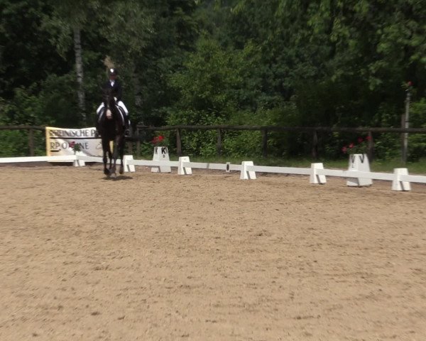 Reitturnier Erkrath - Uhlenhof 2016