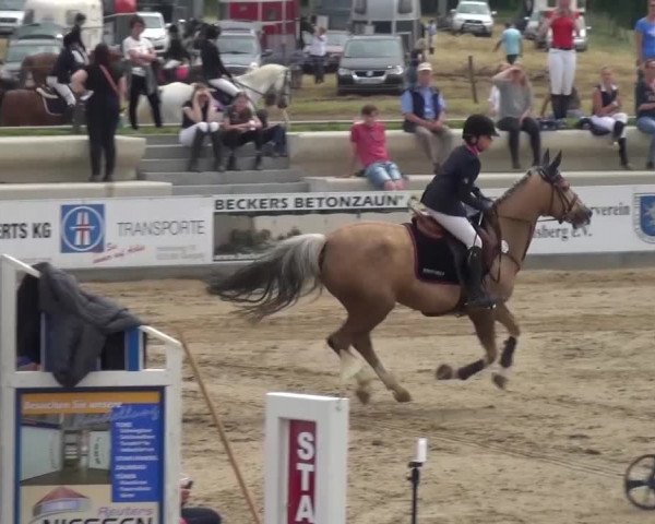 Heinsberger Dressur- und Springtage 2016