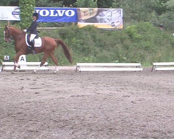 Reitturnier Hanerau-Hademarschen 2016