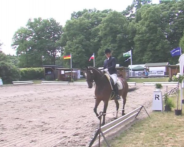 Reitturnier Hanerau-Hademarschen 2016