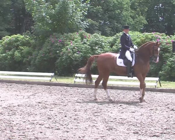 Reitturnier Hanerau-Hademarschen 2016