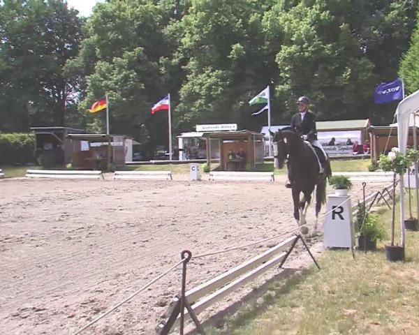 Reitturnier Hanerau-Hademarschen 2016